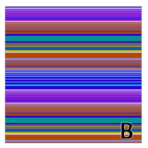Printed Adhesive Mexican Blanket Color Pattern 12 x 12 inch Sheet (B)