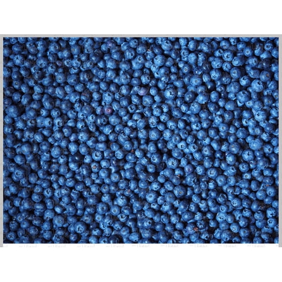 Printed Adhesive Vinyl Blueberries Pattern Permanent Adhesive