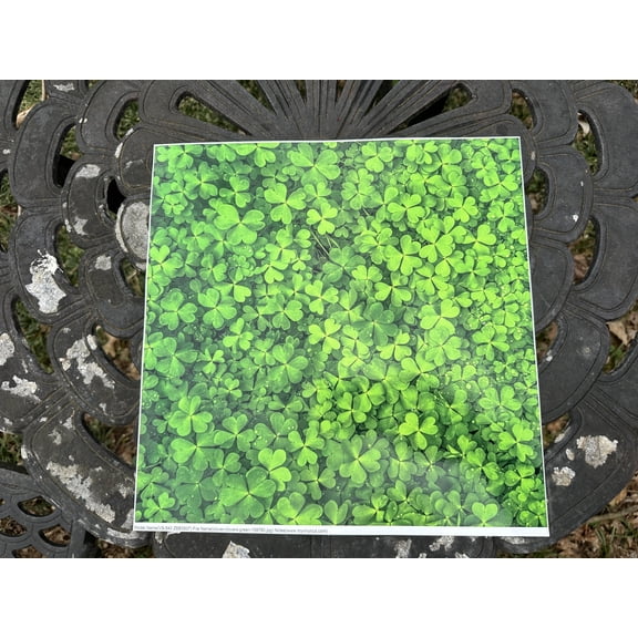 Printed Adhesive Vinyl Green Clover Pattern Removable Wall Vinyl