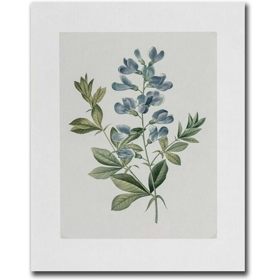 Printed Canvas Painting Wall Art Modern Wall Art Pictures Blue Botanical Vintage Floral Canvas Paingting Poster Modern Home and Bedroom Decoration 8x12inch without Frame