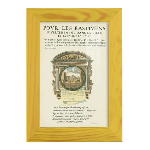 Printed Embellished Bookplate I - Framed Print w/glass - Sunflower Yellow