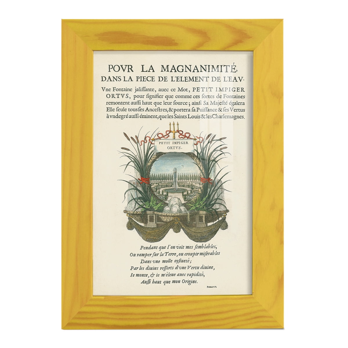Printed Embellished Bookplate II - Framed Print w/glass - Sunflower Yellow