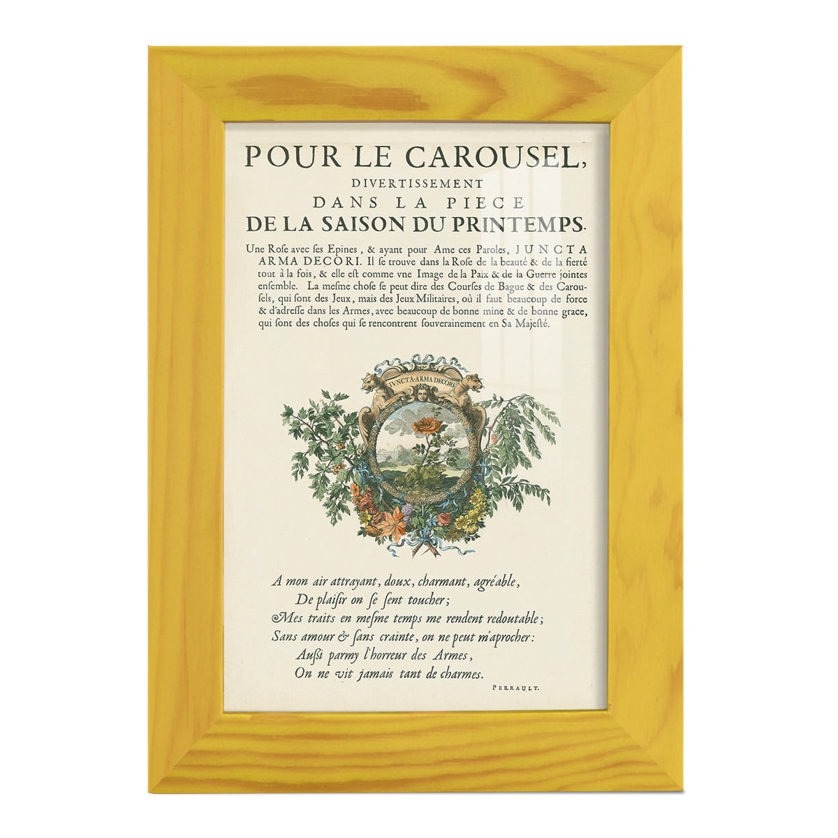 Printed Embellished Bookplate IV - Framed Print w/glass - Sunflower Yellow