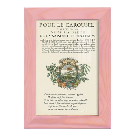 Printed Embellished Bookplate IV - Framed Print w/glass - Sunset Pink