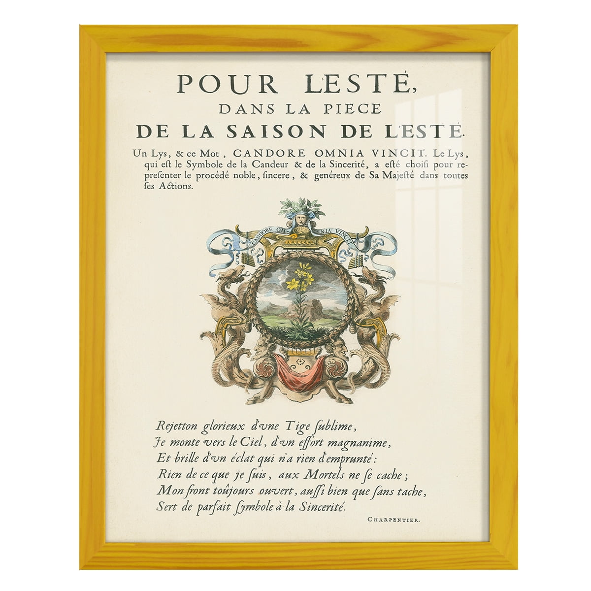 Printed Embellished Bookplate VI - Framed Print w/glass - Sunflower Yellow