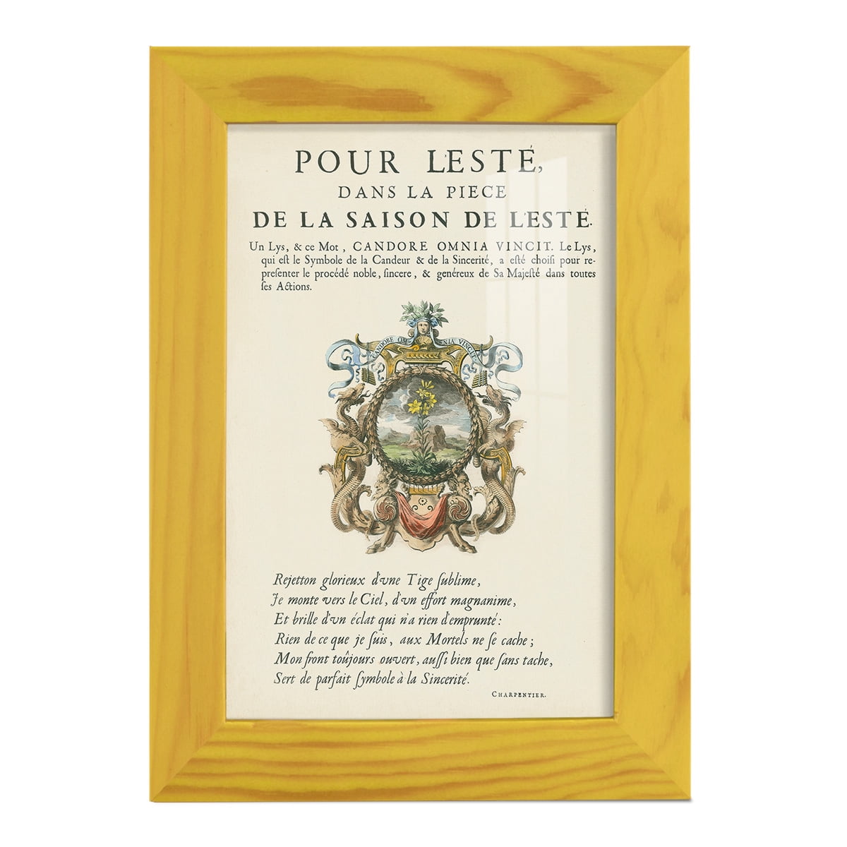 Printed Embellished Bookplate VI - Framed Print w/glass - Sunflower Yellow
