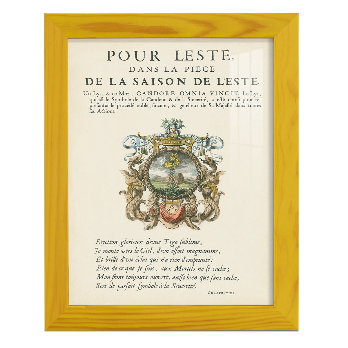 Printed Embellished Bookplate VI - Framed Print w/glass - Sunflower Yellow