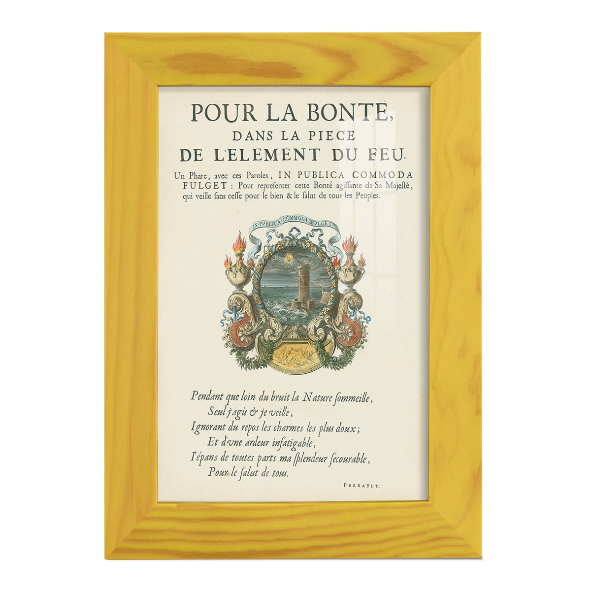Printed Embellished Bookplate VIII - Framed Print w/glass - Sunflower Yellow