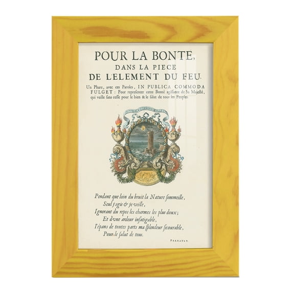 Printed Embellished Bookplate VIII - Framed Print w/glass - Sunflower Yellow
