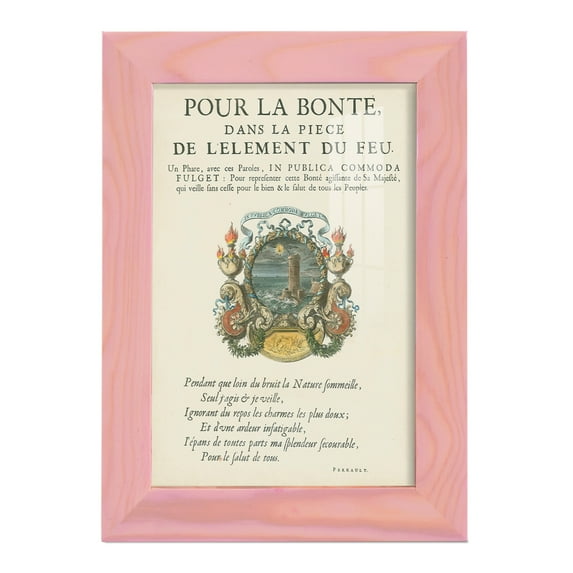 Printed Embellished Bookplate VIII - Framed Print w/glass - Sunset Pink