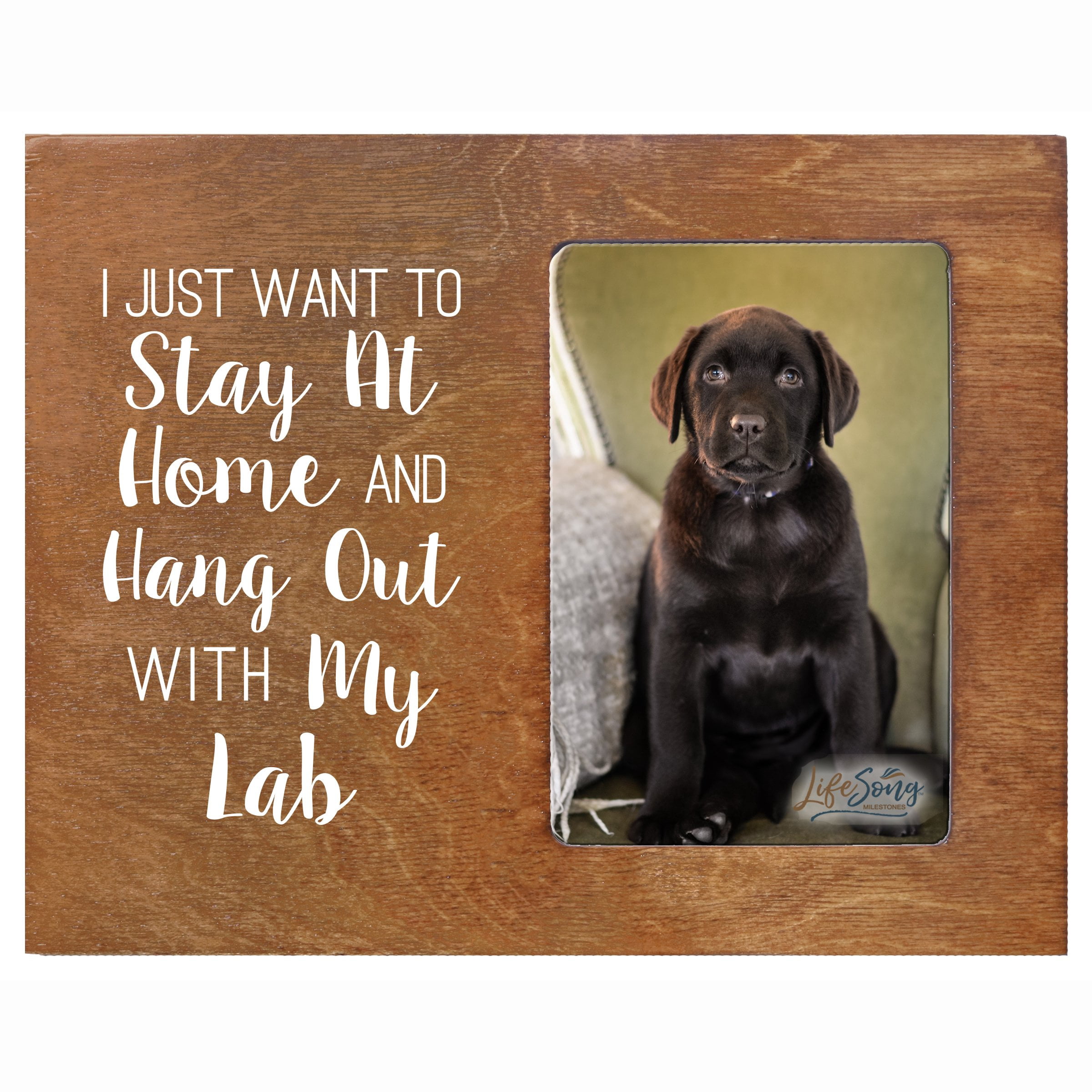 Labrador Photo Frame Printed Labrador Retriever Photo Frames - Stay Home - Walmart.com