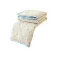 thumbnail image 1 of Printed Lightweight Summer Quilt – Soft Breathable Cotton Blanket for Air Conditioning Room, 39.37x59In Machine Washable, 1 of 7