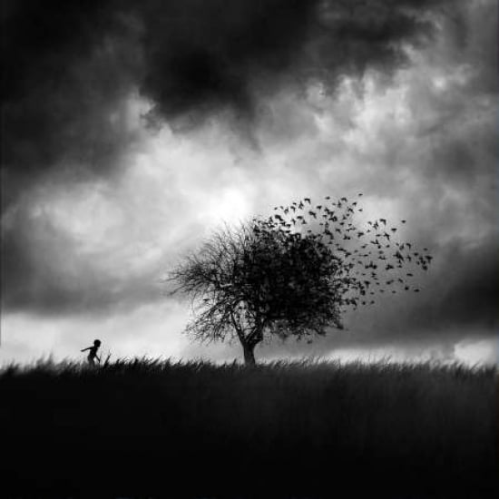 Printemps Perdu Canvas Art - Sebastien Del Grosso (24 x 24)