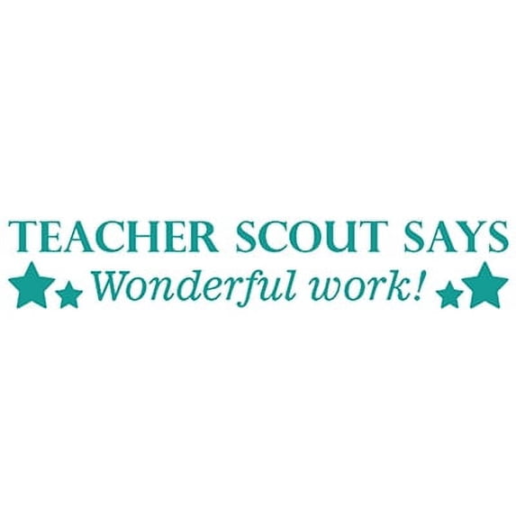 Printtoo Personalized Teachers Stamp Says Wonderful Work! Teachers Name Self-Inking Rubber Stamp Appreciation Message For School Classroom & Homework Supplies,Green-42 x 9 mm