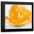 thumbnail image 1 of Prior, J.P. 12x12 Black Modern Framed Museum Art Print Titled - Wild Orange Sherbet II, 1 of 5