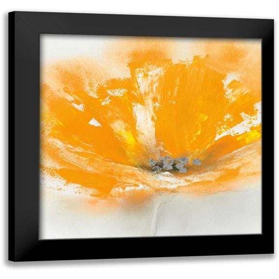 Prior, J.P. 20x20 Black Modern Framed Museum Art Print Titled - Wild Orange Sherbet II