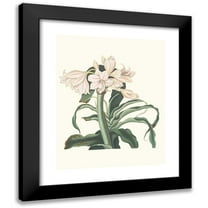 Priscilla Susan Bury 12x14 Black Modern Framed Museum Art Print Titled - Crins Rough (1834)