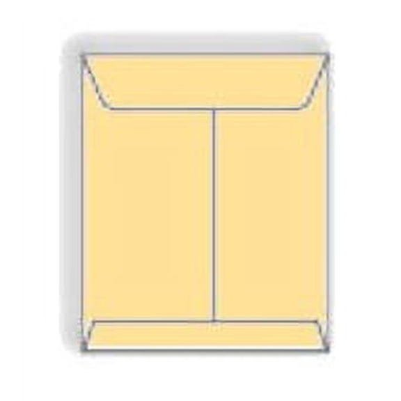 Prism Buff Colored Catalog Envelopes, 9" x 12", Pastel Colored Sulphite (FSC Certified), Acid Free, 28-lb, Vellum Finish, Center Seam, No Window - Box of 500 Catalog Envelopes
