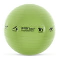 thumbnail image 1 of Prism Fitness 23" Smart Self-Guided Fitness Stability Exercise Ball, Green, 1 of 10