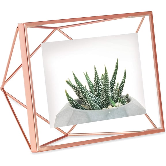 Prisma 4x6 Picture Frame, Metal Floating Wall or Desk Photo Display for Pictures, Art, Illustrations, and More, Copper