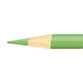 thumbnail image 1 of Prismacolor Premier Colored Pencil Open Stock-Apple Green, 1 of 2