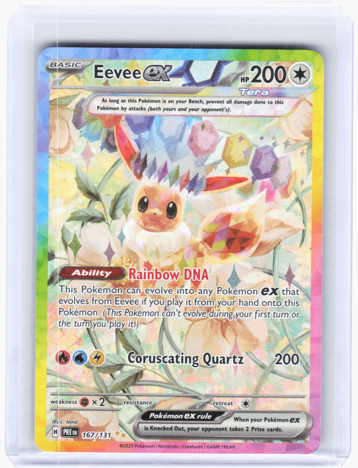Pokemon Card Eevee Evolution Pokemon Card Eevee Evolution
