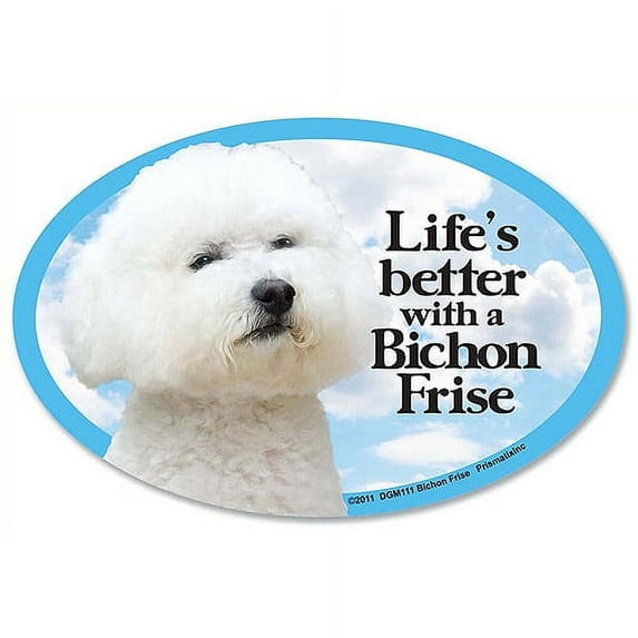 Prismatix Cat and Dog Magnets