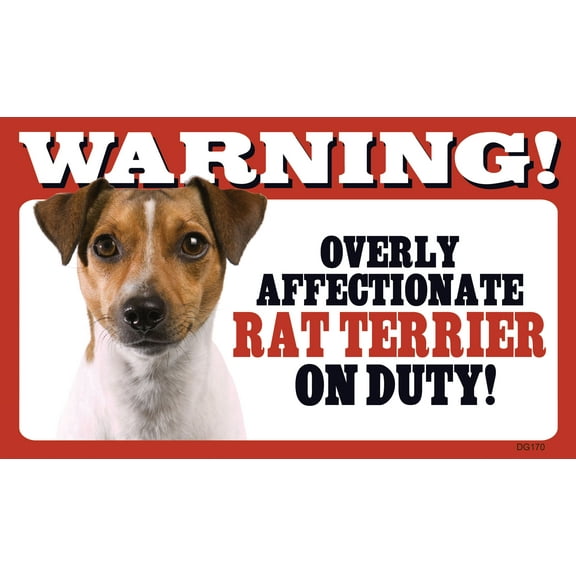 Prismatix Warning Overly Affectionate Rat Terrier On Duty
