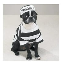 Prison Costume for Dogs Dress Your Pooch as Your Favorite Prisoner Bad Dog! (Small)