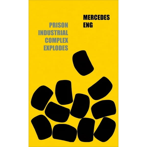 Prison Industrial Complex Explodes, (Paperback)