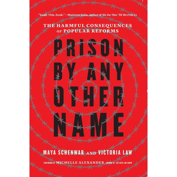Prison by Any Other Name: The Harmful Consequences of Popular Reforms, (Paperback)