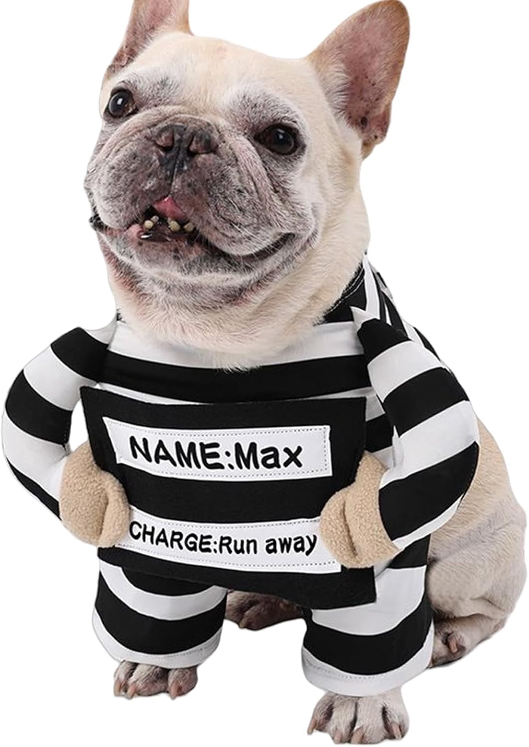 Prison Costume For Dogsnull