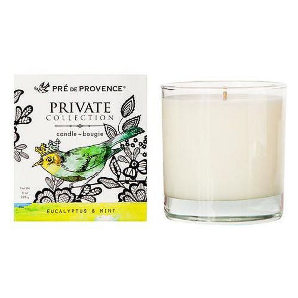 Private Collection Candle 8 Oz - Eucalytus & Mint