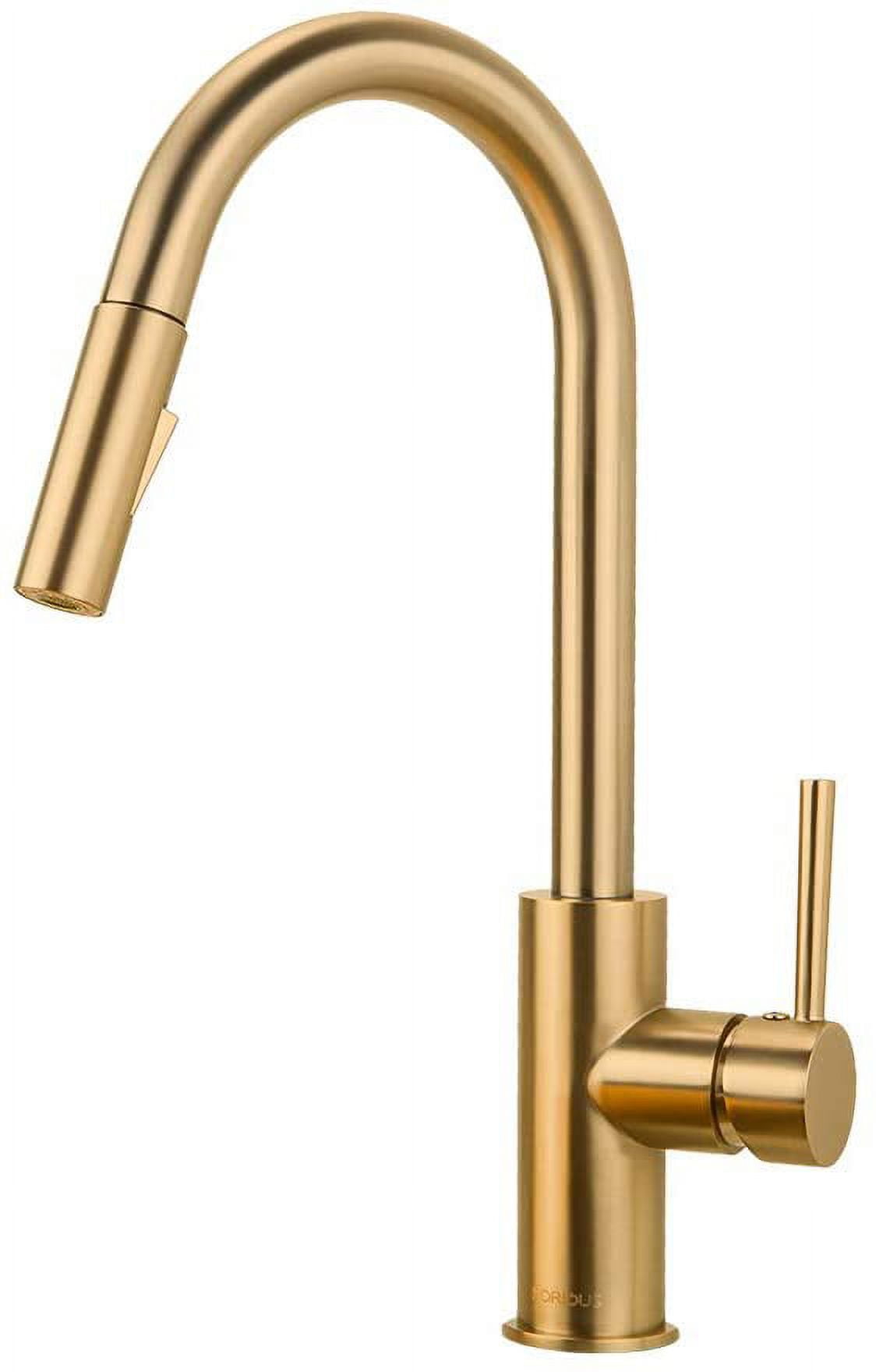 Private Jungle Single-Handle Touch Kitchen Sink Faucet with Pull Down Sprayer-Brushed Gold