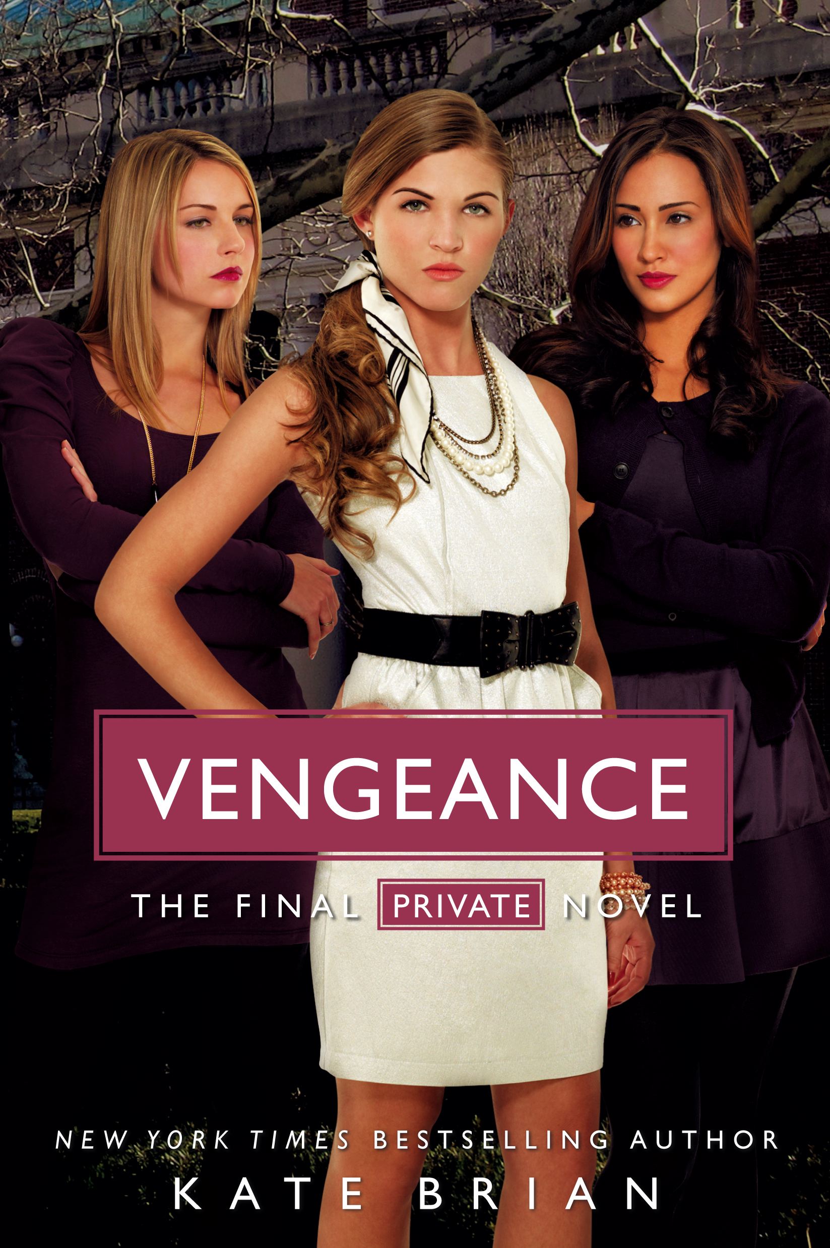 Private: Vengeance (Paperback) - image 1 of 1