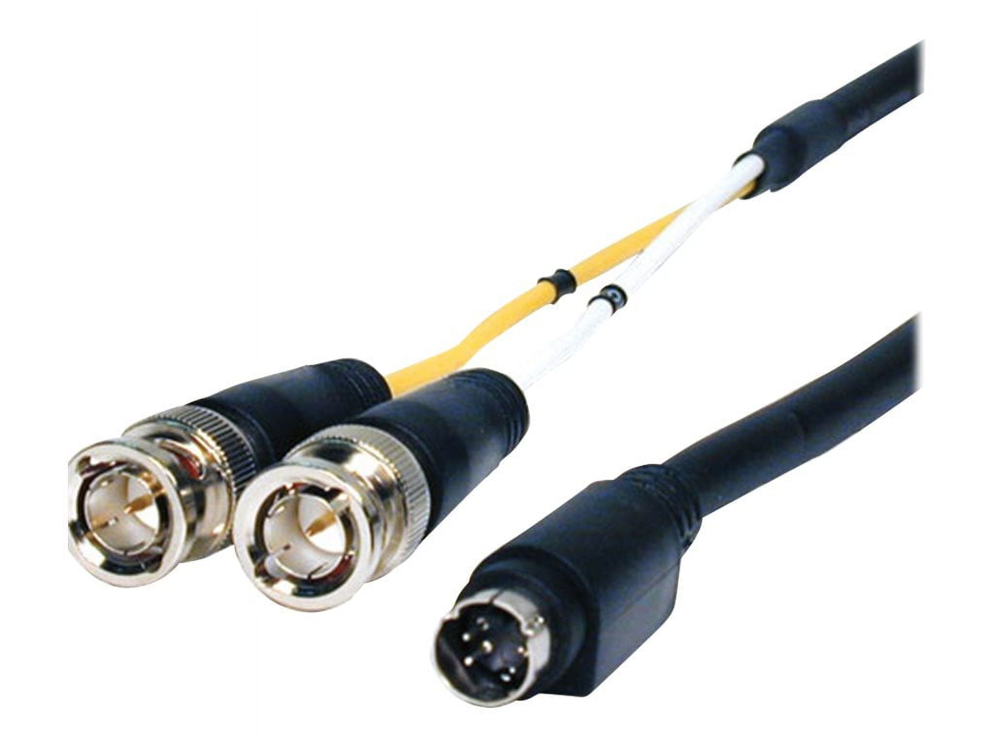 Pro AV/IT Series S-Video 4 pin Plug to 2 BNC Plugs Breakout Cable 6ft ...