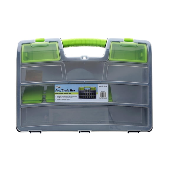 Pro Art Art/Craft Box 18x12.5x3