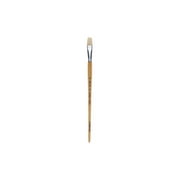 Pro Art White Hog Bristle Filbert Brush Size 10 for Oils and Acrylics