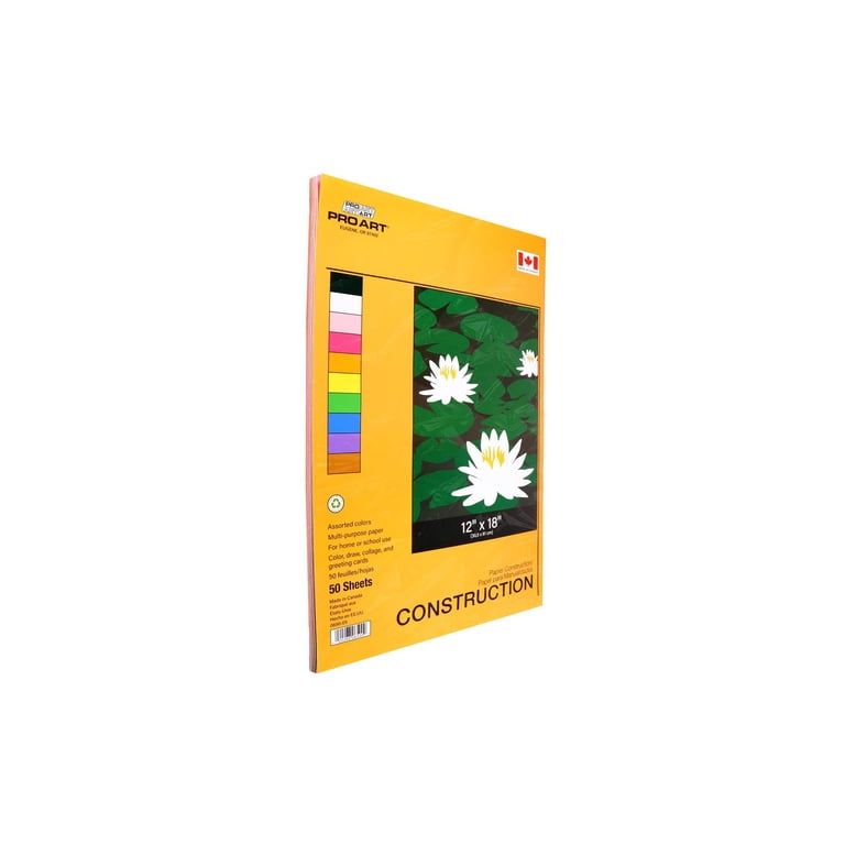 Kangaro A4 160 Gsm Assorted Color Paper Pack - 50 Sheets, Thick Craft Paper For Art & Office