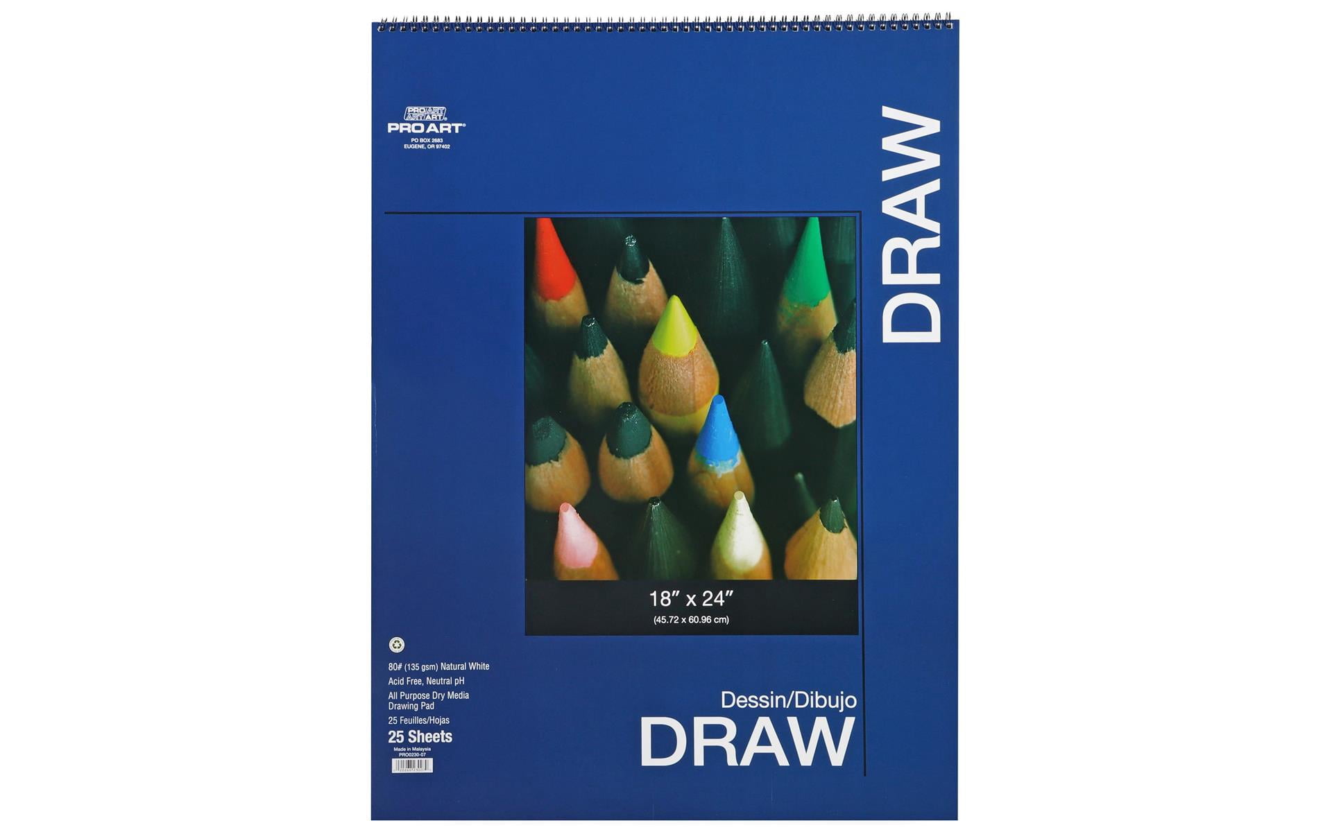 Pro Art Drawing Paper Pad 18x24 in 80lb Wire Bound 25 Sheets