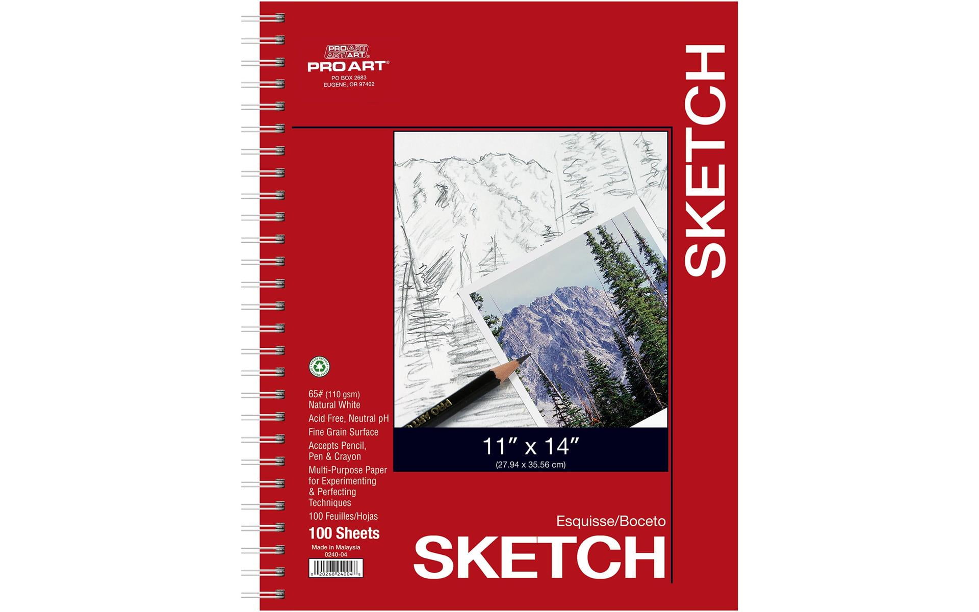 U.S. Art Supply 11 x 14 Mixed Media Paper Pad Sketchbook, 2 Pack, 60  Sheets, 98 lb (160 gsm) - Spiral-Bound, Perforated, Acid-Free - Artist  Sketching, Drawing, Painting Watercolor, Acrylic, Wet, Dry 