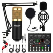 Pro Audio Condenser Microphone Mic Kit Vocal Studio Recording Set Desktop Stand 5 Core RM 8 BG