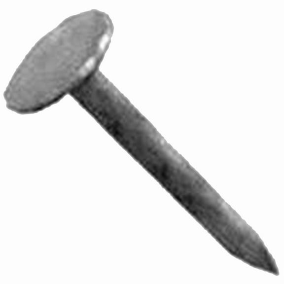 Pro-Fit 2-1/2 in. Roofing Electro-Galvanized Nail Large 5 lb.