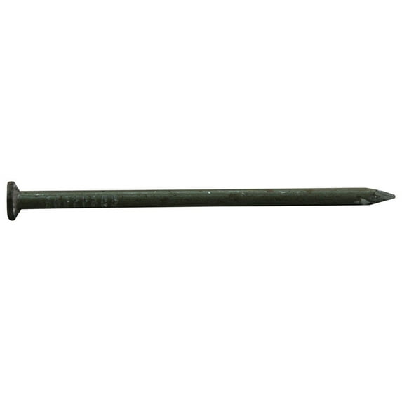 Pro-Fit 16D 3-1/2 in. Common Bright Steel Nail Flat 1 lb.