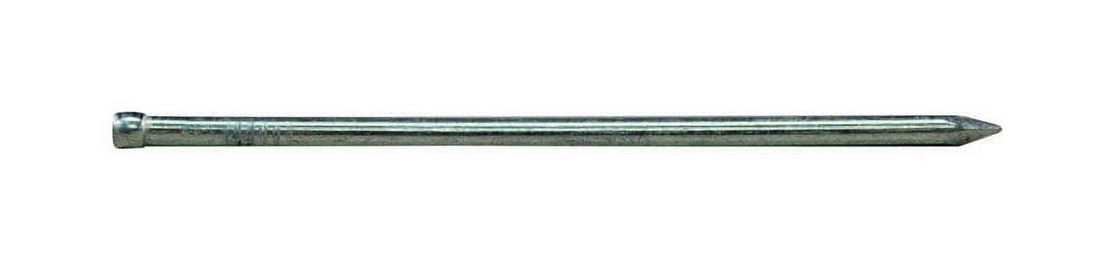 Pro-Fit 16D 3-1/2 in. Finish Hot-Dipped Galvanized Steel Nail Brad Head 1 lb Pro-Fit 16D 3-1/2 in. Finish Hot-Dipped Galvanized Steel Nail Brad Head 1 lb