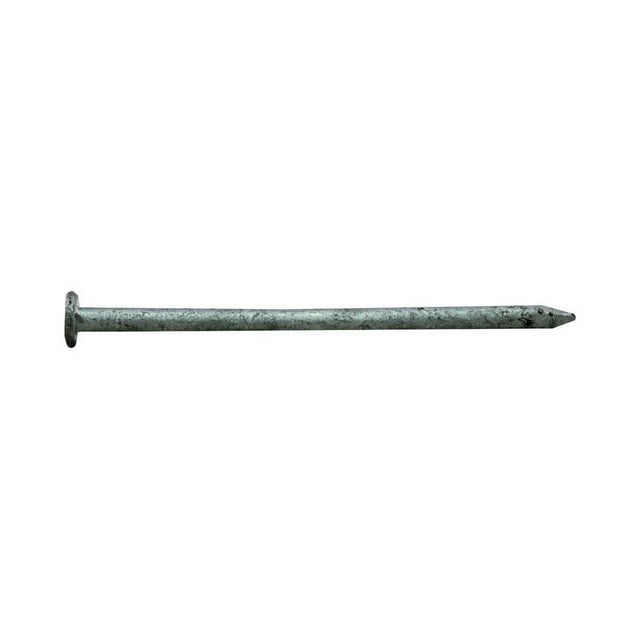 Pro-Fit 2 in. Common Hot-Dipped Galvanized Steel Nail Flat Head 1 lb