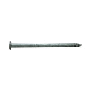 Pro-Fit 3-1/4 In. Common Hot-Dipped Galvanized Steel Nail Flat Head 1 Lb