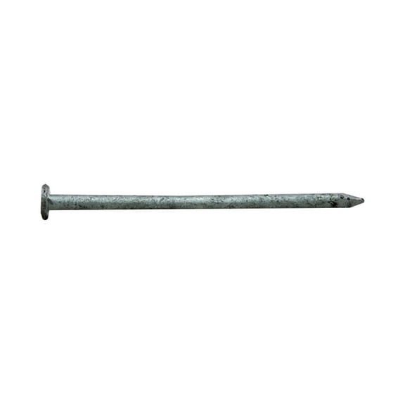 Pro-Fit 3-1/4 In. Common Hot-Dipped Galvanized Steel Nail Flat Head 1 Lb