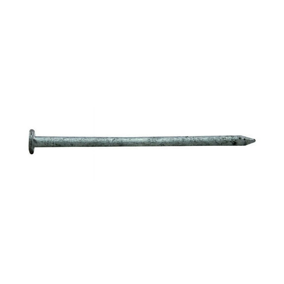 COMMON NAIL 3-1/4"12D 5#