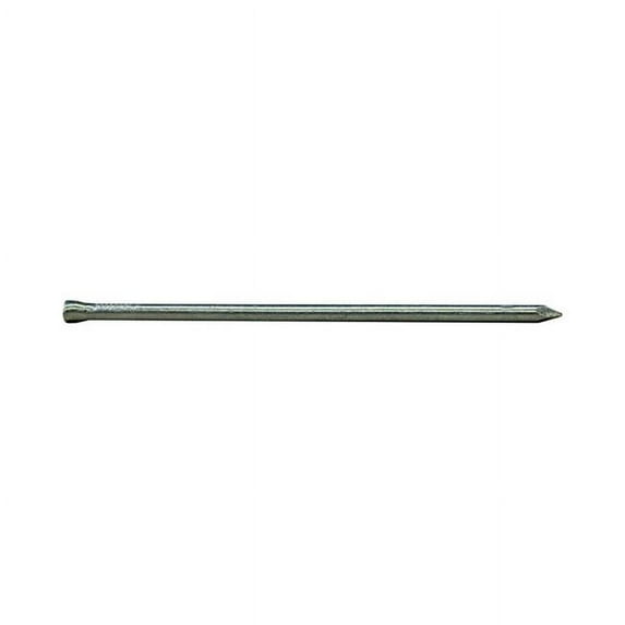Pro-Fit 3 in. Casing Hot-Dipped Galvanized Nail 1 lb.